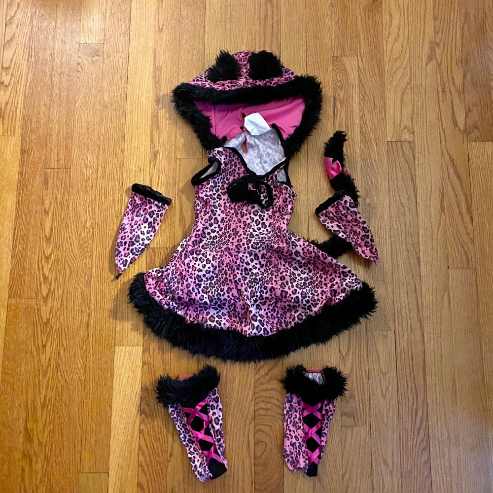 Sassy kitty costume